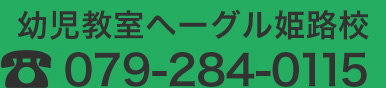 079-284-0115